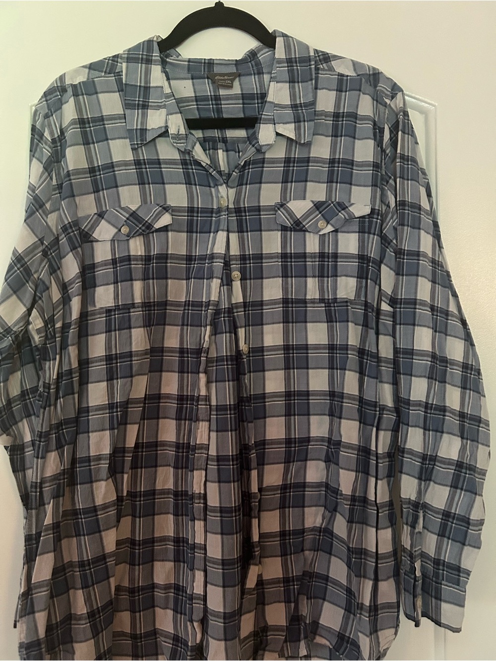 Eddie Bauer Blue and White Plaid Button-Down Shirt